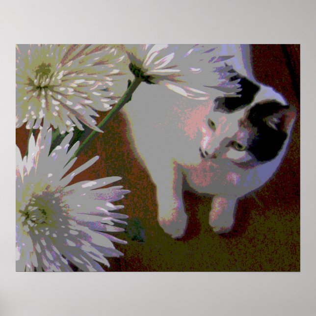 Cat with Chrysanthemums fine art print (Front)