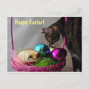 Cat with Easter Basket Holiday Postcard