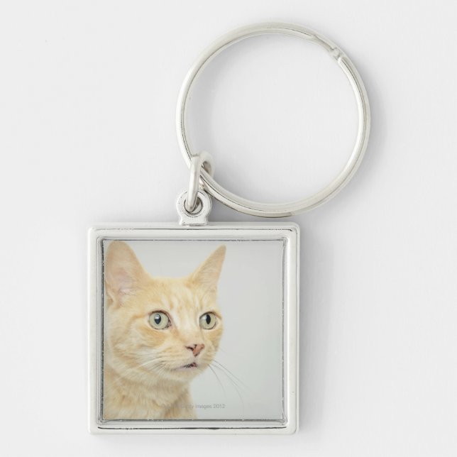 Cat with eyes open wide keychain (Front)