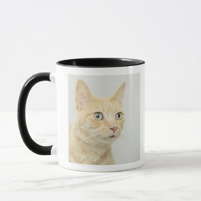 Cat with eyes open wide mug (Left)