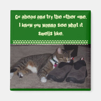 Cat with face in shoe magnet