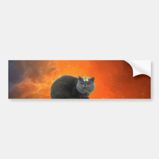Cat with flower bumper sticker