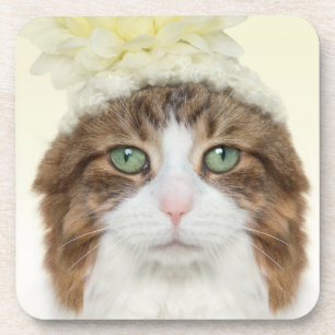 Cat With Flower Hat Coaster