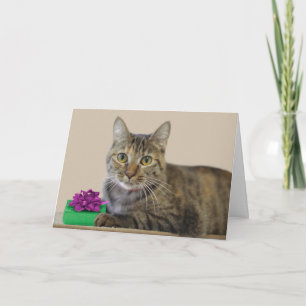 Cat with Gift Birthday Card