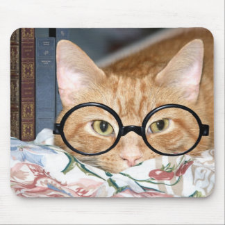 Cat with glasses and books mouse pad