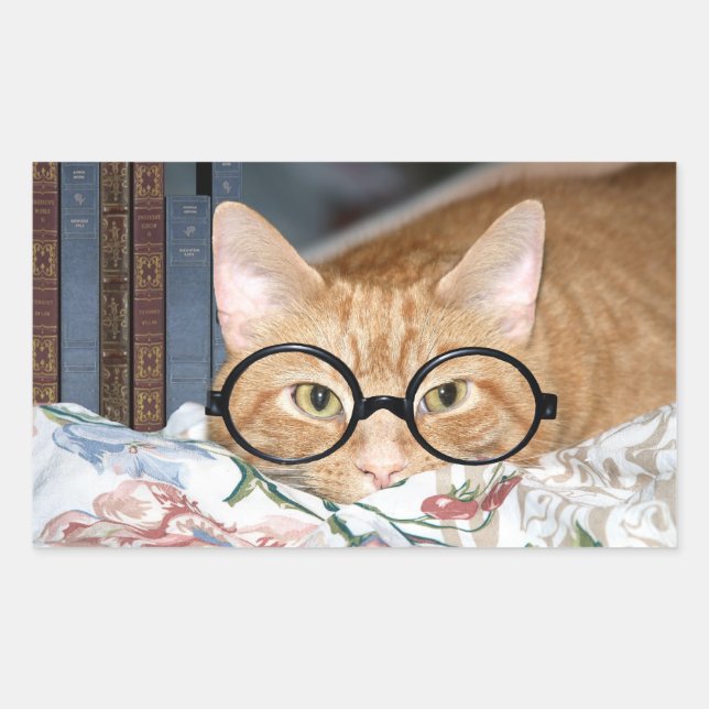 Cat with glasses and books sticker (Front)