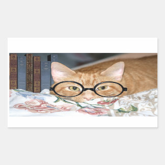 Cat with glasses and books sticker