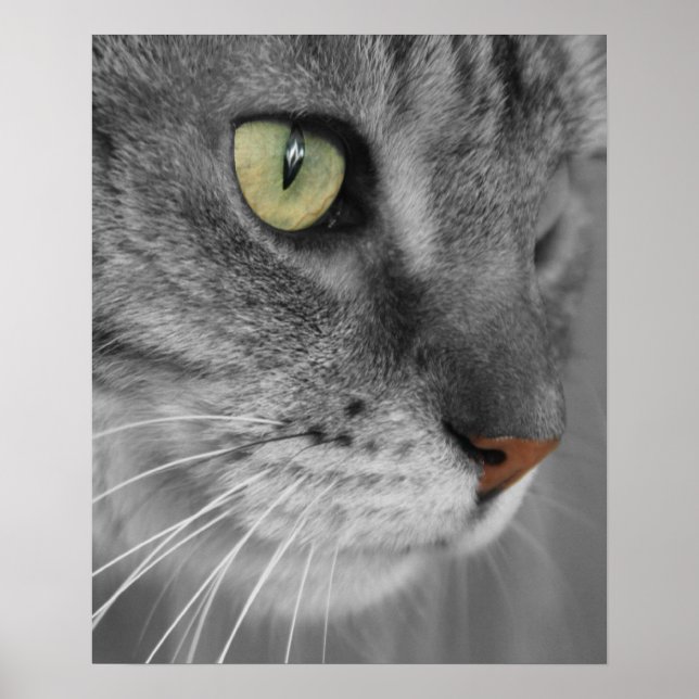 Cat with Green Eyes Poster Print (Front)