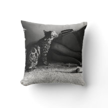 Cat with guitar pillow