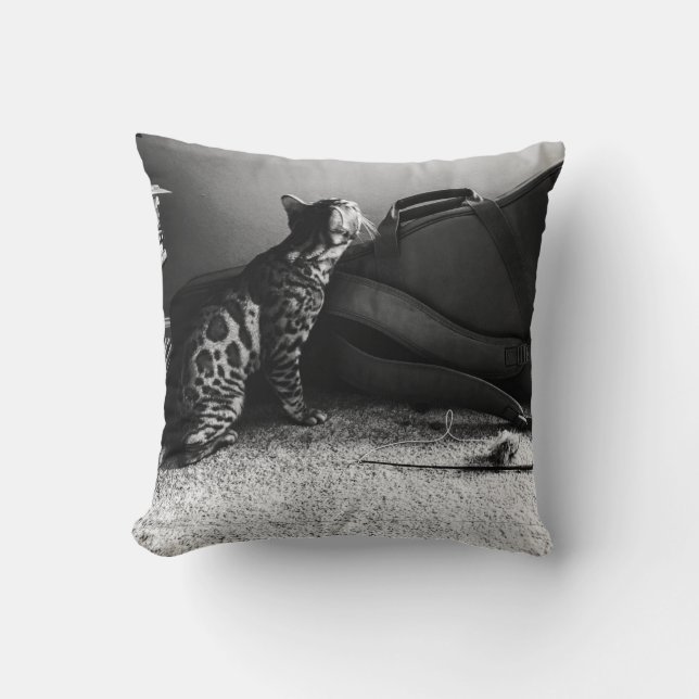 Cat with guitar pillow (Front)