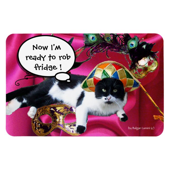 CAT WITH HARLEQUIN HAT AND MASQUERADE PARTY MASKS MAGNET (Horizontal)