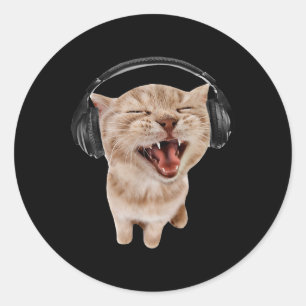 Cat With Headphones Meme  Classic Round Sticker