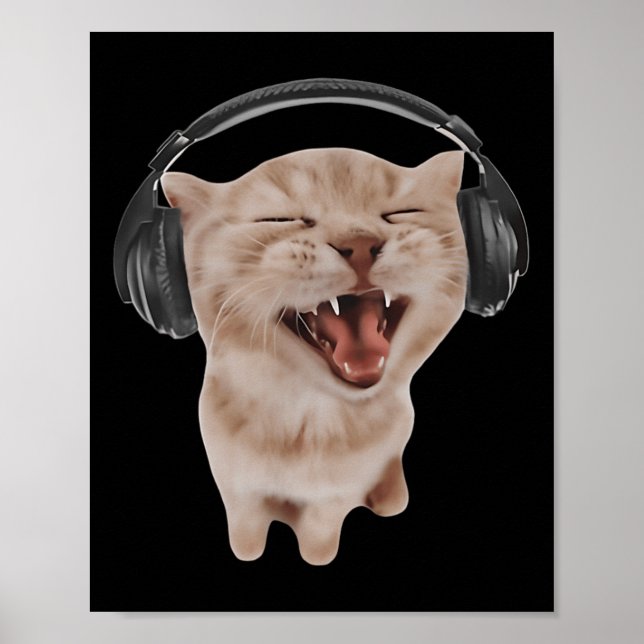 Cat With Headphones  Poster (Front)