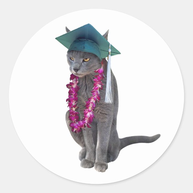 Cat with Lei Graduation Sticker (Front)