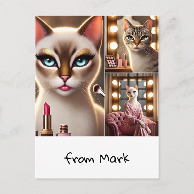 Cat with Make up equipment Postcard (Front)