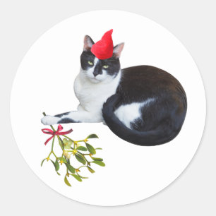 Cat with Mistletoe Stickers