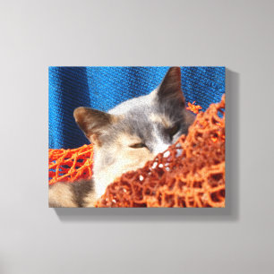 Cat with Orange Nautical Net Canvas Print