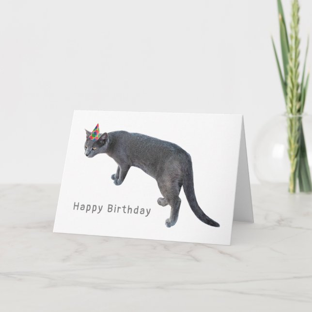 Cat with Party Hat Birthday Card (Front)