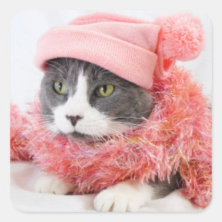 Cat with Pink Hat Square Stickers, Glossy Sticker