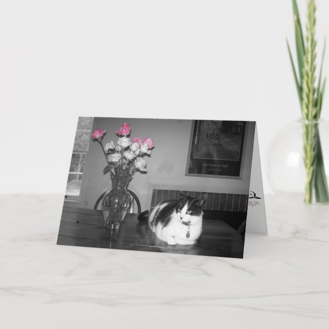 Cat with Pink Roses Birthday Card (Front)