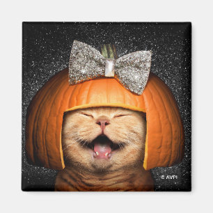 Cat With Pumpkin Hair Magnet