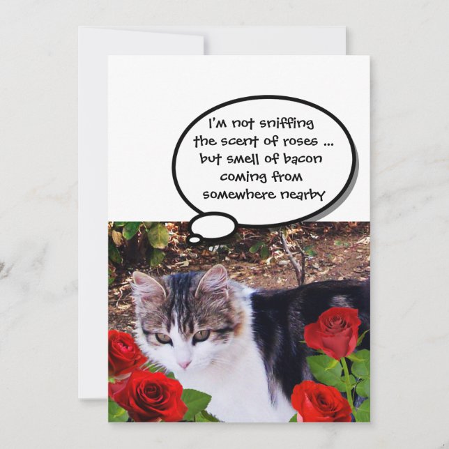 CAT WITH RED ROSES BACON BRUNCH PARTY INVITATION (Front)