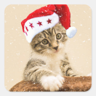 Cat with santa cap square sticker