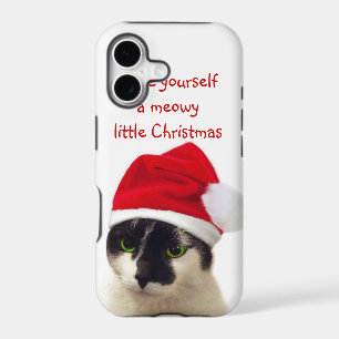 Cat with Santa's Hat