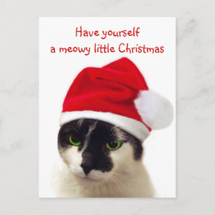 Cat with Santa's Hat Holiday Postcard