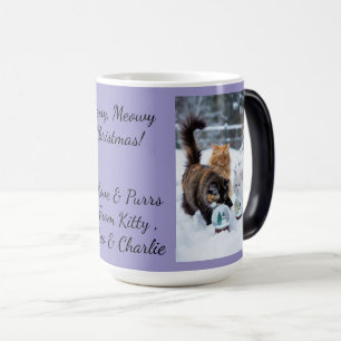 Cat With Snow Globe, Image Names Text, Customize,  Magic Mug
