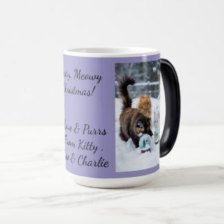 Cat With Snow Globe, Image Names Text, Customize, Magic Mug