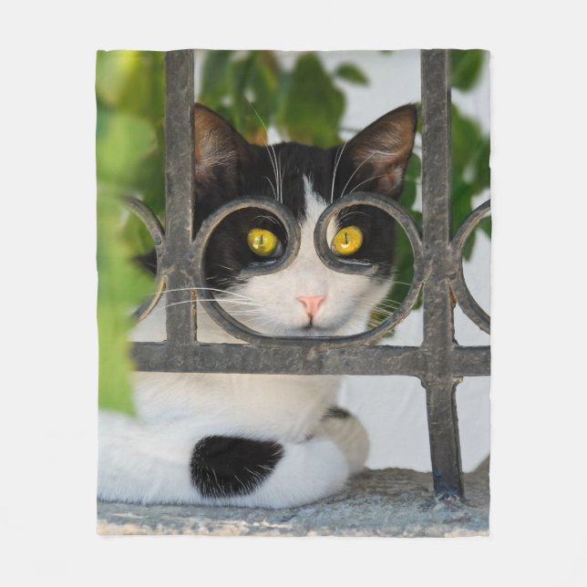 Cat with Spectacles Frame Funny Photo  comfortable Fleece Blanket (Front)