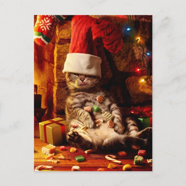 Cat With Stocking on Head Invitation Postcard (Front)