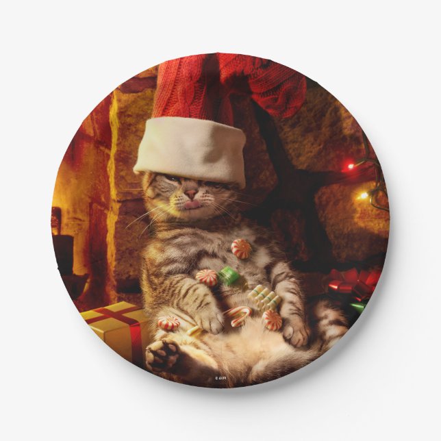 Cat With Stocking on Head Paper Plate (Front)