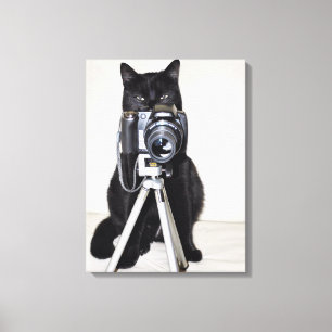 Cat with the camera canvas print