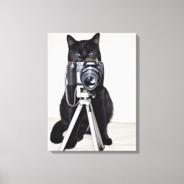 Cat with the camera canvas print (Front)