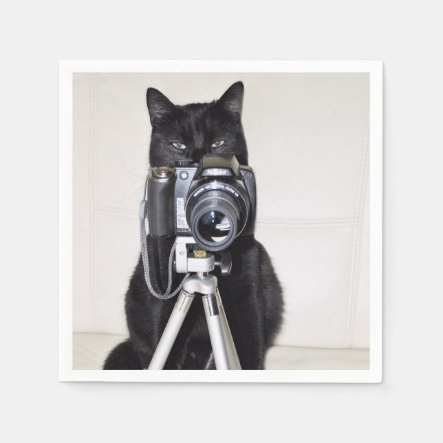 Cat with the camera napkin (Front)