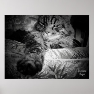 Cat with the Middle Claw Poster