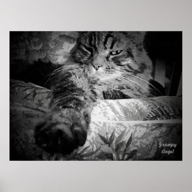 Cat with the Middle Claw Poster (Front)