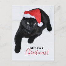 Cat with the Red Santa Hat