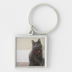 Cat with toy keychain