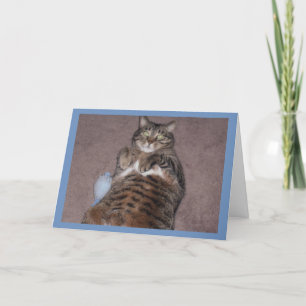 Cat With Tude Birthday Card