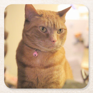 Cat Wooden Keepsake Box Square Paper Coaster