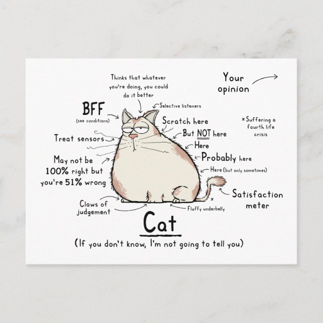 Cat Wordy Art Postcard (Front)