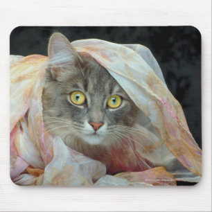 Cat wrapped in cloth mouse pad