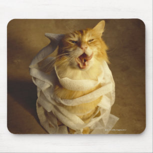Cat wrapped in medical gauze mouse pad