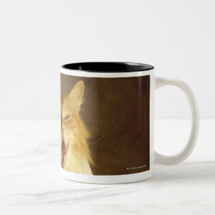 Cat wrapped in medical gauze Two-Tone coffee mug