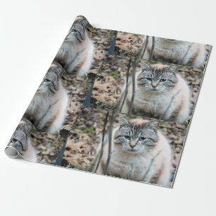 Cat Wrapping Paper