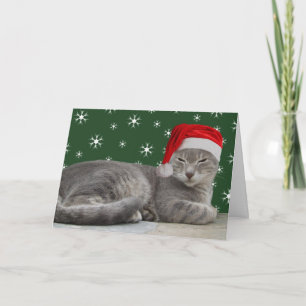 Cat Xmas Cards
