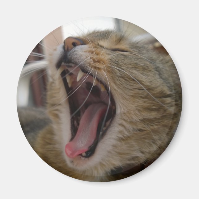 Cat yawn magnet (Front)